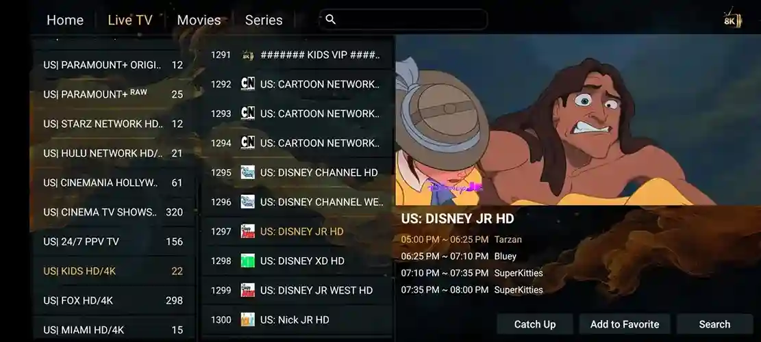 Preview 2 - Divesat Premium IPTV Subscription